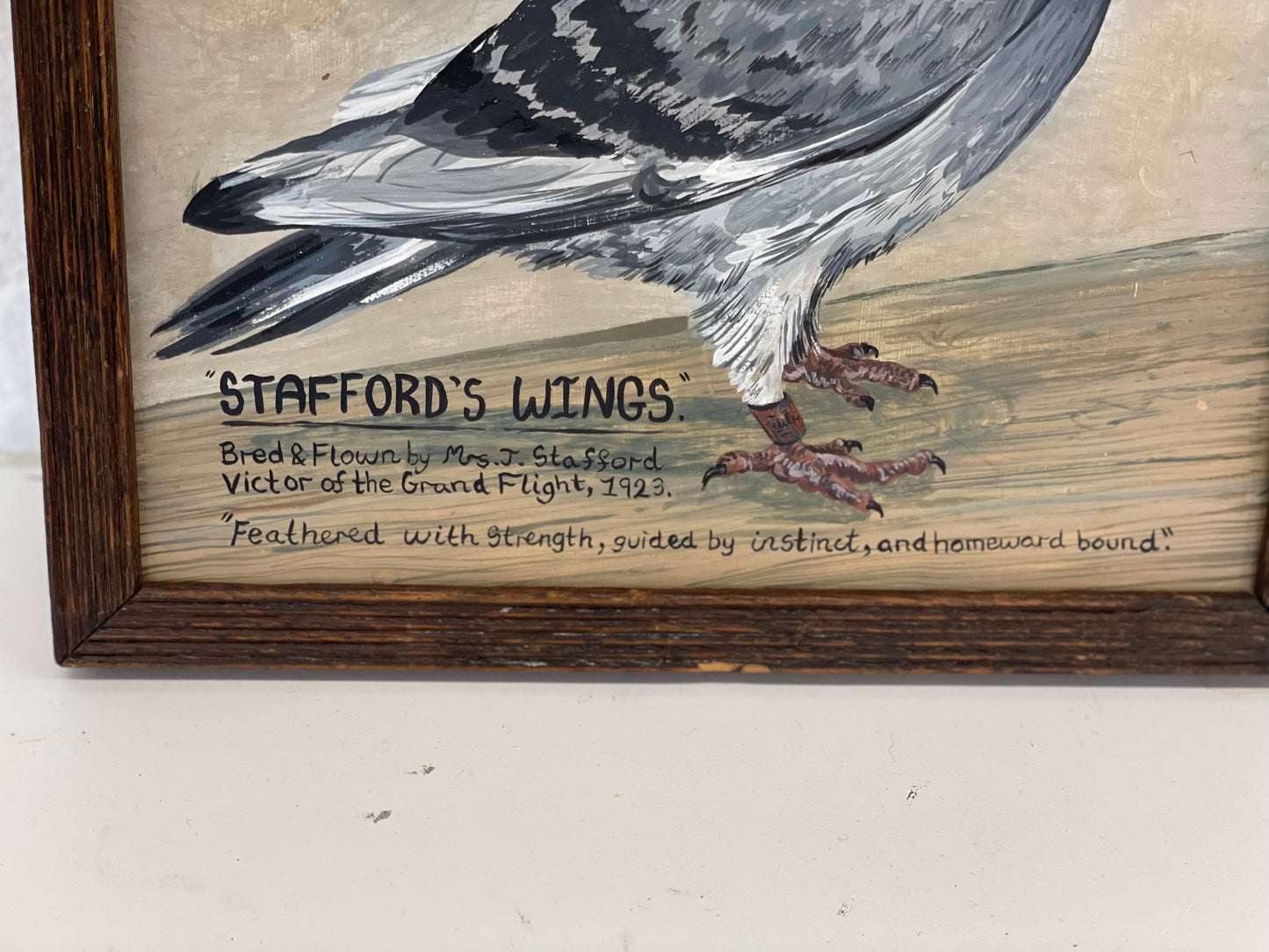 Folk Art Pigeon painting Naive framed artwork