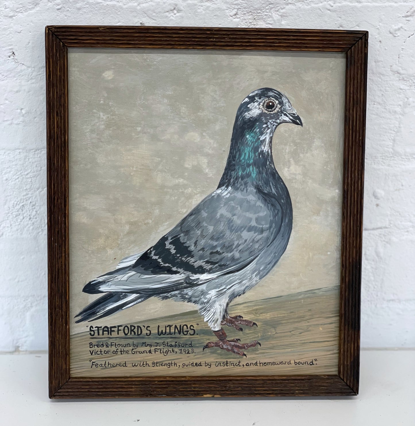 Folk Art Pigeon painting Naive framed artwork